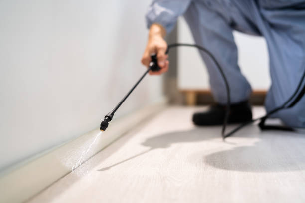 Certified termite inspector examining foundation in Chester Heights