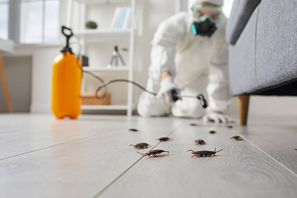 Commercial Rodent Management in Chester Heights